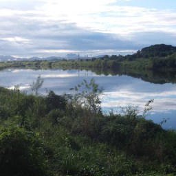 비갠후 | 공릉천 아침풍경
