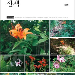 야생화 산책 | 우리가 미처 몰랐던 야생화 이야기