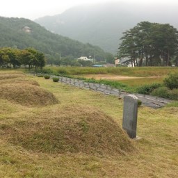 풀 베러 갔다가 풀 구경하다 | 추석 벌초
