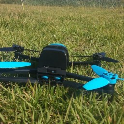 눈으로 보고 마음으로 담아두는 코스모스 꽃밭 | 공릉천 풍경