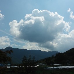 어설픈 비행(飛行) | 시골집 풍경