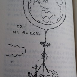 광합성의 세계 | 지구의 생명유지 징치