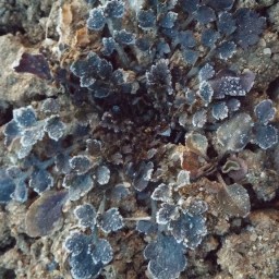 감각을 자극하는 세상의 뉴스보다 감각을 살려주는 일상의 작은 소식들이 넘쳐나는 아침산책길