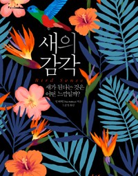 새의 감각 | 감각의 총아