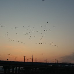 대화의 기준은  화자가 아니라 청자다