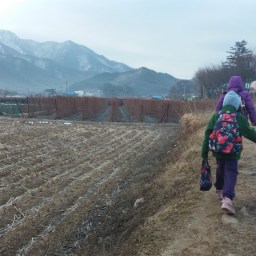 봄은 들판보다 마음에서 먼저 시작된다