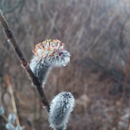 천천히 걸어야 보인다 | 시어동