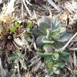 봄 기운 가득한 들판 | 동네한바퀴