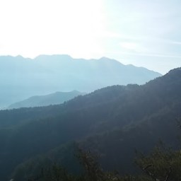 돌고 돌고…다시 제자리로 | 동네한바퀴