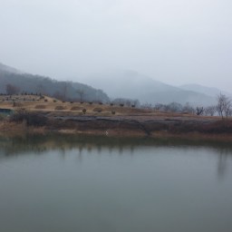 아침 문안 길 | 동네한바퀴