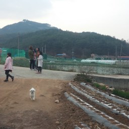 아이들에겐 놀이가 밥이다! | 시골집 풍경