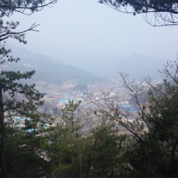꽃길 산길 | 도장산