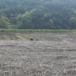 오불여노농! | 늙은 농부의 지혜