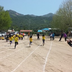 1등도 꼴찌도 다같이 신나는 운동회 | 화북초등학교