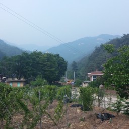 새집 짓기 | 헌집 줄께 새집 다오?