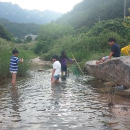 와! 여름이다 | 무릉도원의 계절