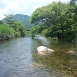 동네 밭은 깊다? | 묵정밭 단상