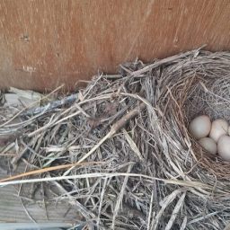 탑골만화방 | 빈집에 깃든 새집