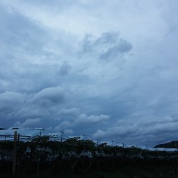 비갠후 | 구름수채화