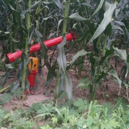 때 아닌 총소리에 잠 못 이루는 밤 | 시골집 풍경