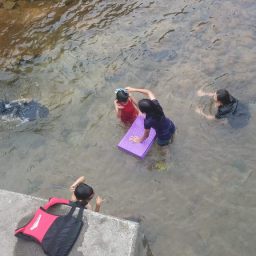 여름 시골은 아이들의 천국 | 시골집 풍경