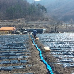 “바쁘지 말아야 하는데…” | 젊은 농부의 지혜?!