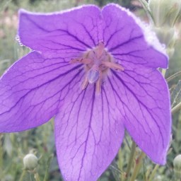 아는 것보다 보는 것이 먼저 | 마당밭 풍경