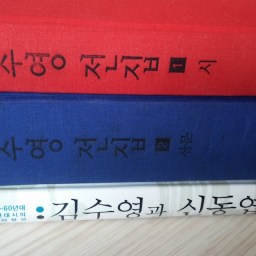 시인 김수영 | 시적 인식이란 새로운 눈과 발견의 각도