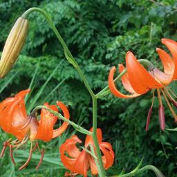 비갠후 | 동네한바퀴