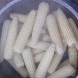 바로 본다! |  자세히 오래 천천히