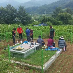 마을공동 부역과 중복행사 | 여럿이함께