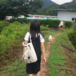 학교 가는 길 | 동네한바퀴