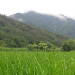 비갠후 | 동네반바퀴