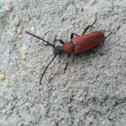 등잔 밑이 어둡다 | 아침 단상