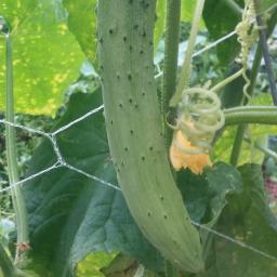 아침이면 비가 쉬는 시간 | 비갠후