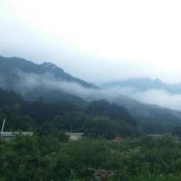 정중동 아침 풍경 | 운장대(雲臧臺)? 구름 속에 묻힌 문장대(文藏臺)!