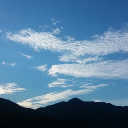 가을이 넘치는 여름 아침 | 아침 풍경