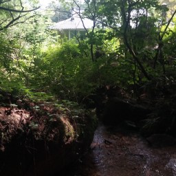 산제당 가는 길 | 여름은 여름!