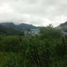 마당밭 배추모 심기 | 씨앗꽃 아침 풍경