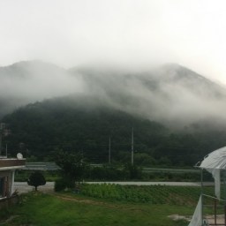 농자천하지대본(農者天下之大本) | 아침단상