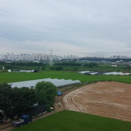 혹부리 영감님이 부러운 날 |  그리운 풍경