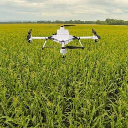 농업의 혁신이 빼앗아 가는 것들 | 아침 편지