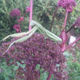 아침 안개도 아는 계절의 변화 | 아침풍경