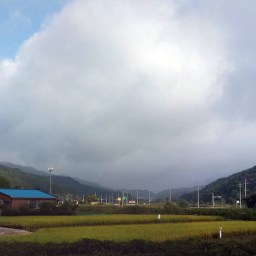 작은 것이 아름답다 | Big is Subsidised