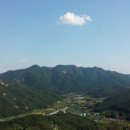 천하 복지 우복동? | 산수보다 인심 먼저