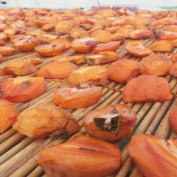 동네 한 바퀴 | 가을이 왔다!