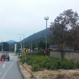 최선을 다했습니다 | 막연한 희망에서 눈앞의 희망으로