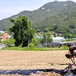 날은 덥고 일은 되고 | 한 사람의 빈 자리