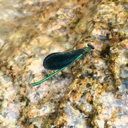 “네가 모르는 걸 내가 어떻게 알려 줄 수가 있겠느냐?” | 홈페이지 만들기