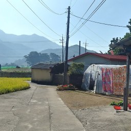 가을 아침 풍경 | 동네한바퀴